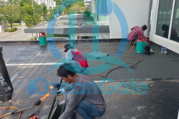 Picsart_22-08-17_21-22-09-303.jpg Picsart_22-08-17_21-22-09-303.jpg