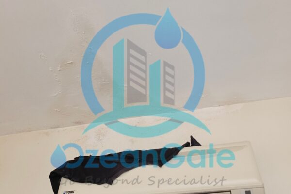 Picsart_22-09-27_23-10-05-115.jpg Picsart_22-09-27_23-10-05-115.jpg